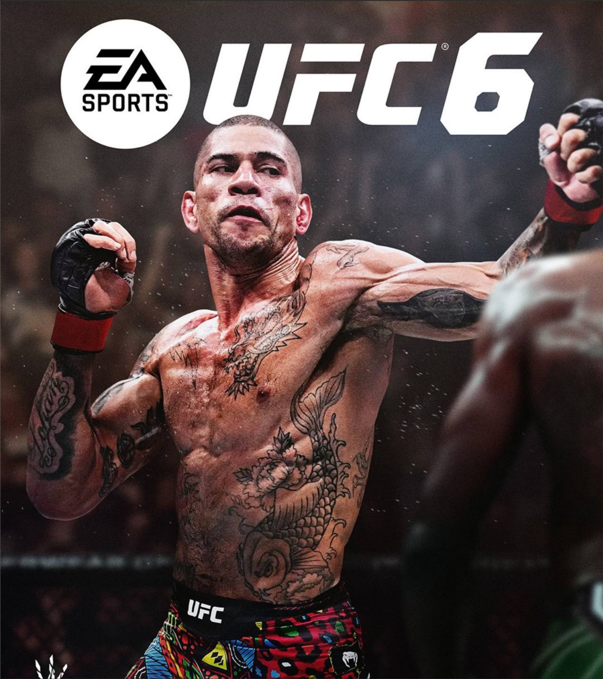 UFC 6